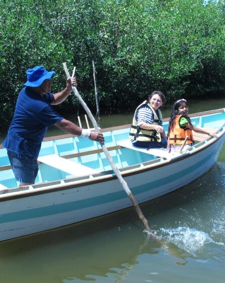  Pescadores de pulpo planean otra vía de ingresos: el turismo – Diario de Yucatán