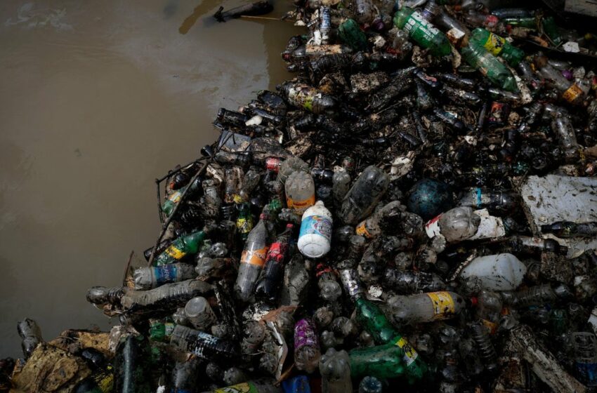  "Tenemos mucha agua pero no la estamos administrando bien": experta en medio ambiente …