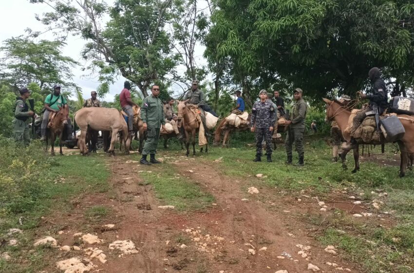  Medio Ambiente arresta 439 desaprensivos que depredaban el Parque Nacional Los Haitises