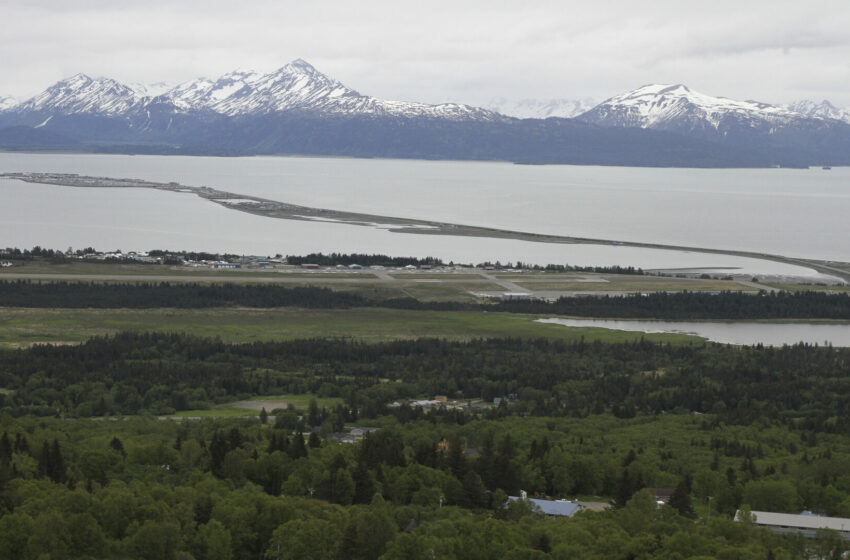  Alce mata a hombre de Alaska que intentaba fotografiar a sus crías recién nacidas