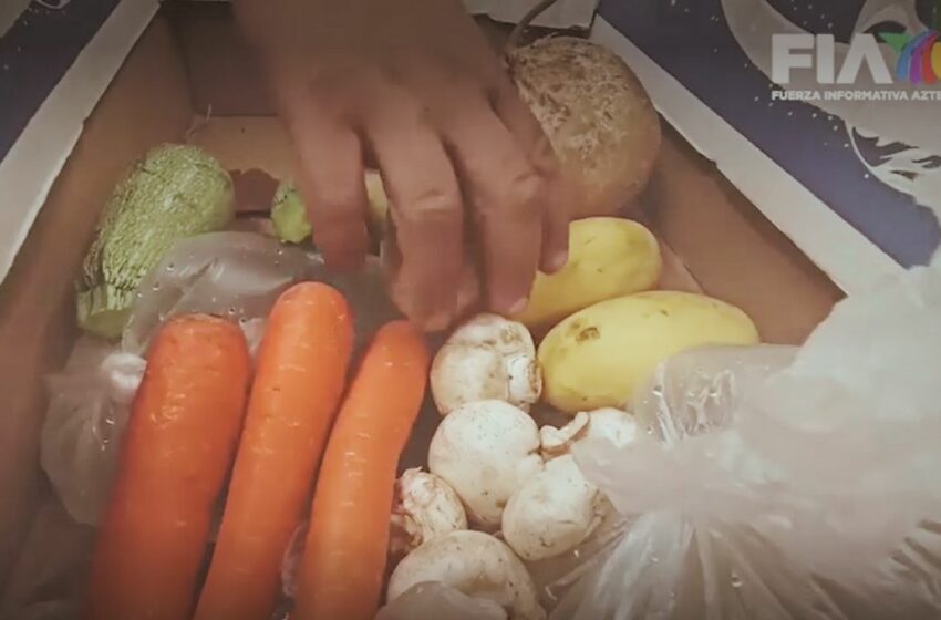  Cuidado de alimentos sin refrigerador: ¿qué hacer en caso de quedarnos sin luz?