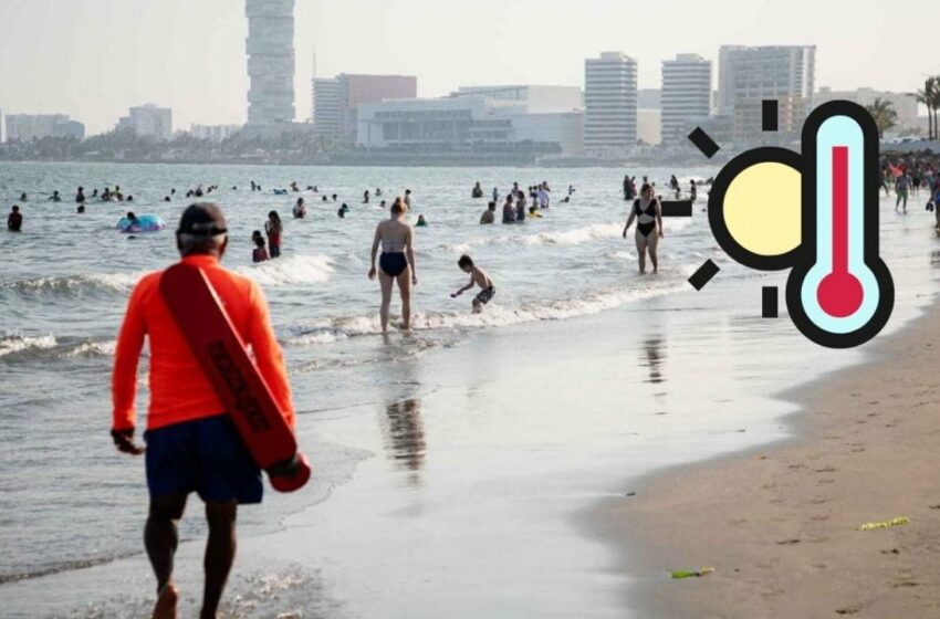  Pausa al calor: ¿Cómo estará el clima en Veracruz este sábado 18 de mayo? | La Silla Rota