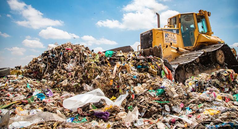  La ONU pide una legislación más estricta para los crímenes contra el medio ambiente