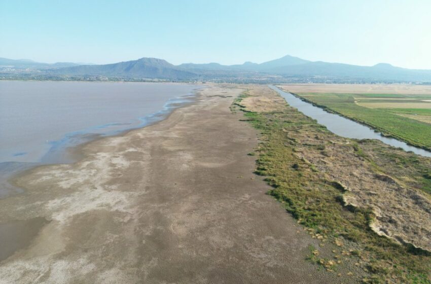  Localidades ribereñas van por el rescate del lago de Pátzcuaro – Primera Plana MX