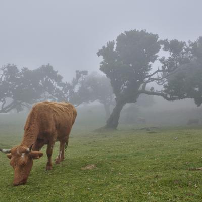  ¿Cuáles son las 5 causas de la pérdida de biodiversidad? – National Geographic