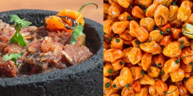  Taste Atlas: La mejor salsa picante del mundo es yucateca