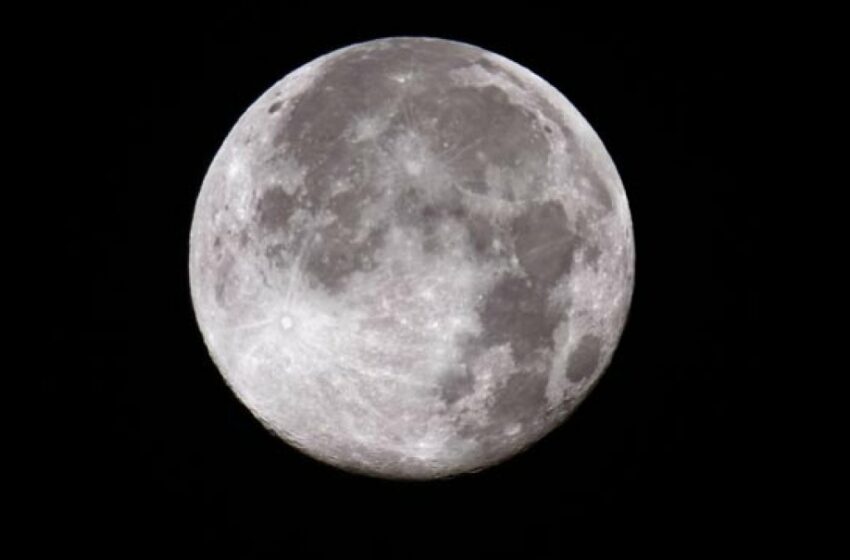  Cuándo puedes ver la “Luna de las Flores” de mayo