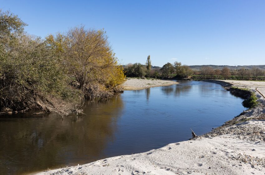  La alcaldesa se reunirá mañana con el secretario de Estado de Medioambiente para …