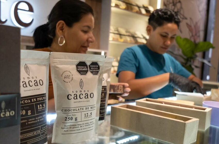  La crisis del cacao llegará al súper después del verano con una subida de precio del chocolate y durará varios años más