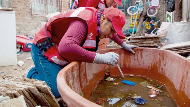  Sonora: tras 21 semanas de 2024, registran casos de dengue – Expreso