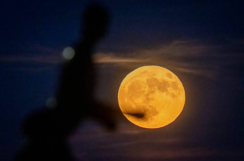  ¿Cuándo es luna llena en junio 2024? Fecha de la luna de fresa