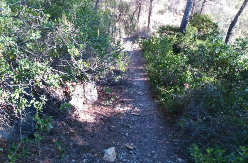  Medio Ambiente adecuará los senderos históricos de Solana de las Cuevas y Umbría del …