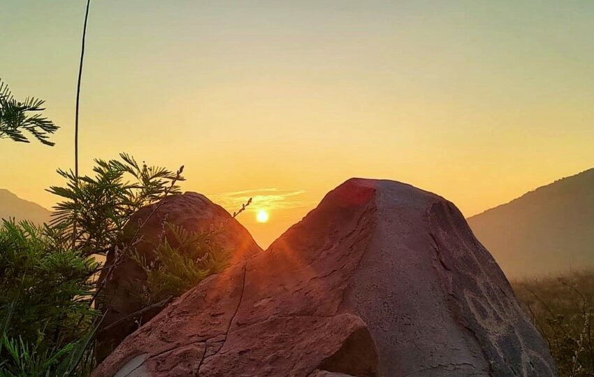  El medio ambiente y las zonas arqueológicas: una relación intrínseca – INAH