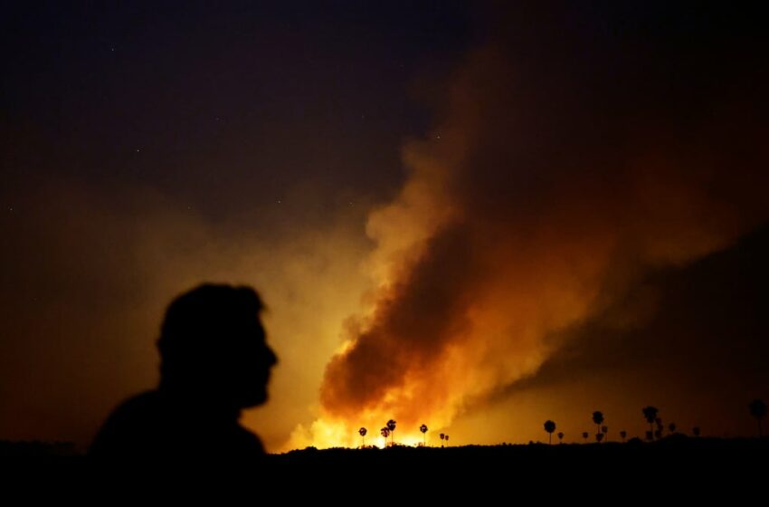  Explosión de fuego en el mayor humedal del mundo: el Pantanal de Brasil arde – EL PAÍS