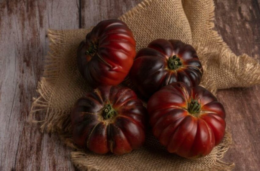  Newsletter ‘Comer’ | Llegan los tomates