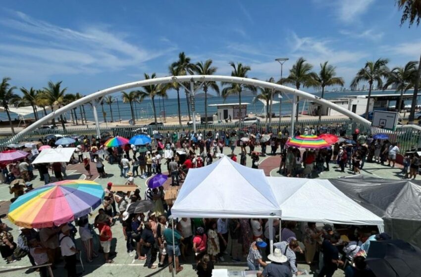  Turistas responden al llamado y salen a votar en Mazatlán – Punto MX