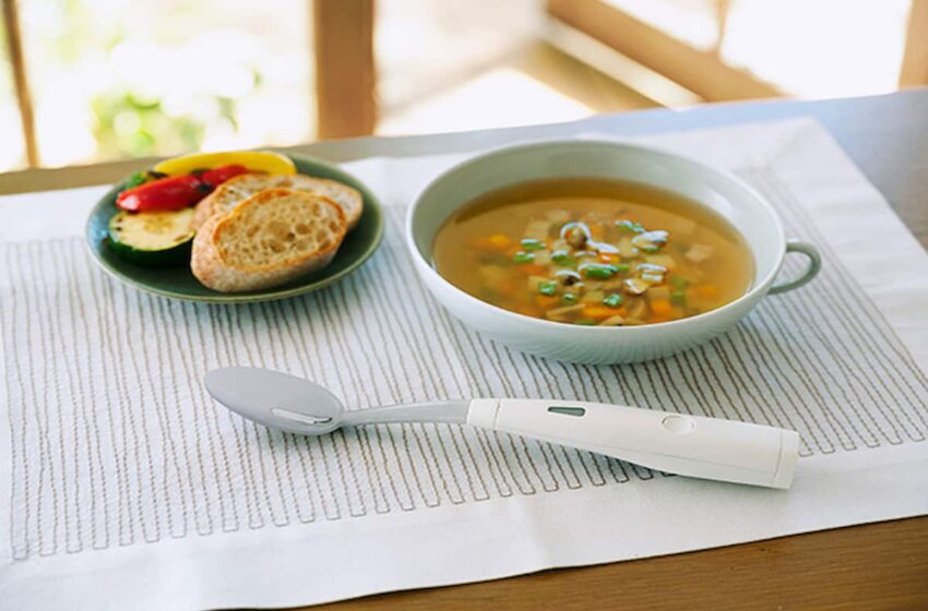  Así funciona la cuchara japonesa que permite comer con menos sal – Animal Gourmet