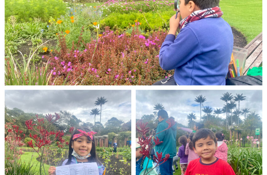  ¡Avanzan las vacaciones científicas en el Jardín Botánico de Bogotá!