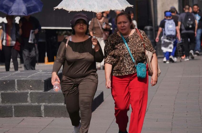  México 'suda la gota gorda': ¿Qué estados prevén calorones la tercera semana de junio?