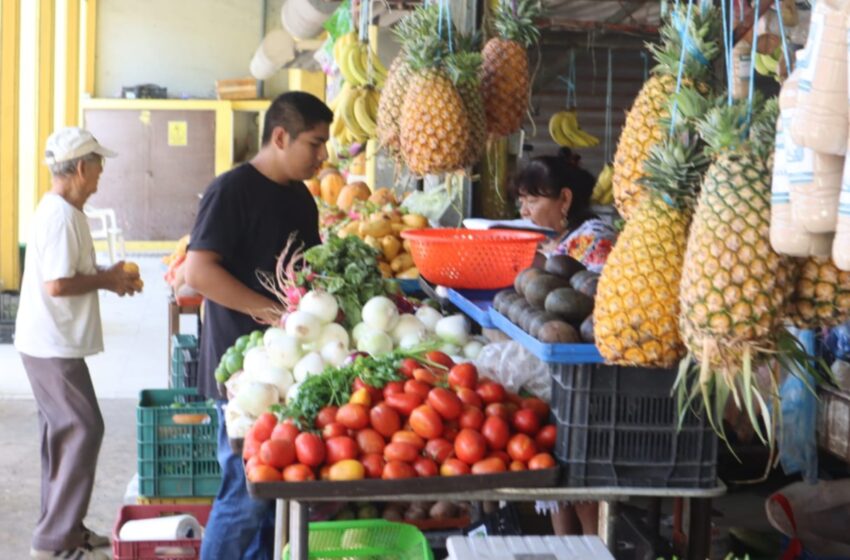  Alimentos más caros en Progreso – Diario de Yucatán