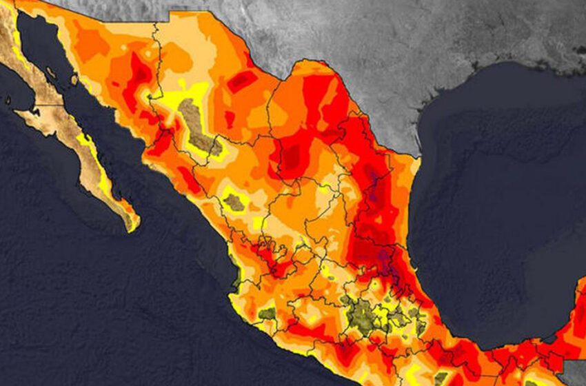  Persiste tercera ola de calor: habrá temperaturas de hasta 45 grados | El Imparcial de Oaxaca