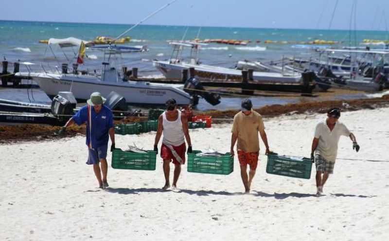  Calor desploma la pesca – Desde el Balcon