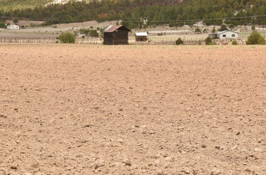  Ni maíz: El campo no da para la siembra de los alimentos básicos en la Sierra