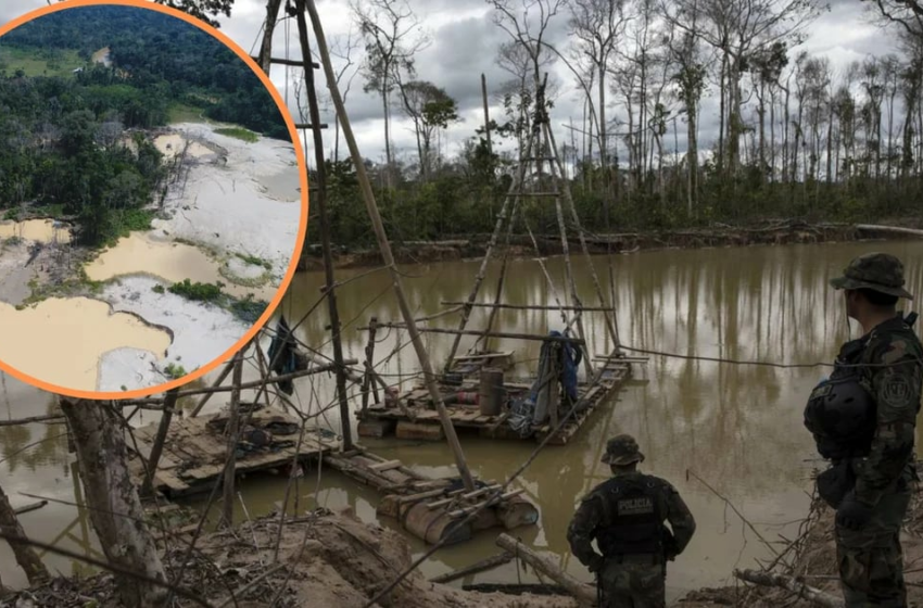  Minería ilegal en Madre de Dios arrasó área similar a Lima Metropolitana – Infobae