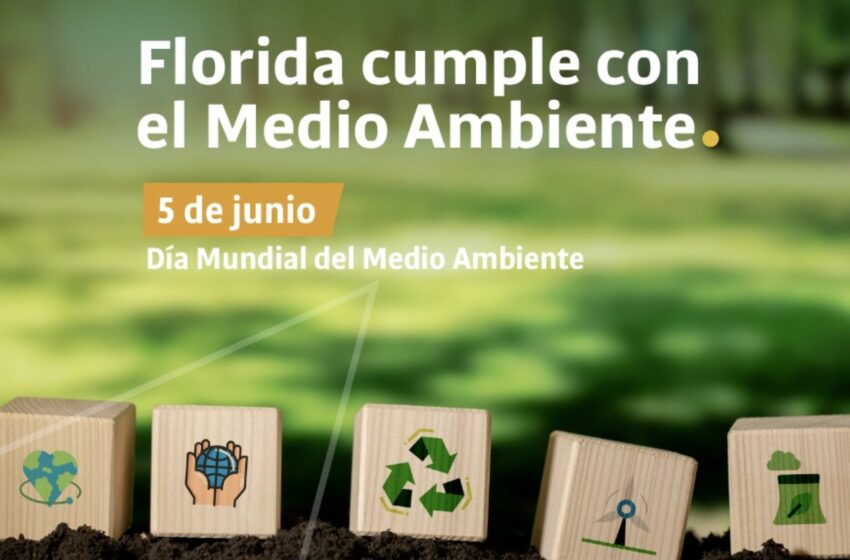  5 de junio, Día Mundial del Medio Ambiente | IDF – GUB.UY