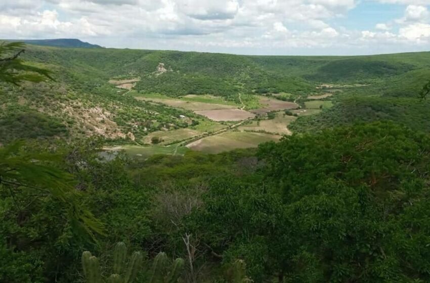  Salmantinos le apuestan al cuidado y preservación del medio ambiente – El Sol de Salamanca