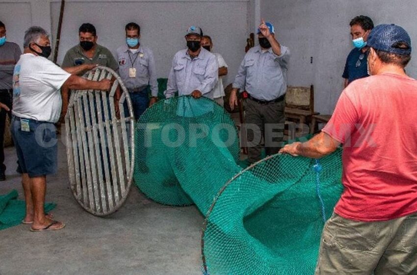  Capacitarán a camaroneros en Puerto Chiapas – Cuarto Poder