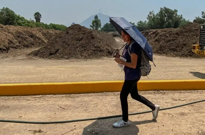  Ola de calor en Sonora se acerca a los 50 grados – La Jornada San Luis