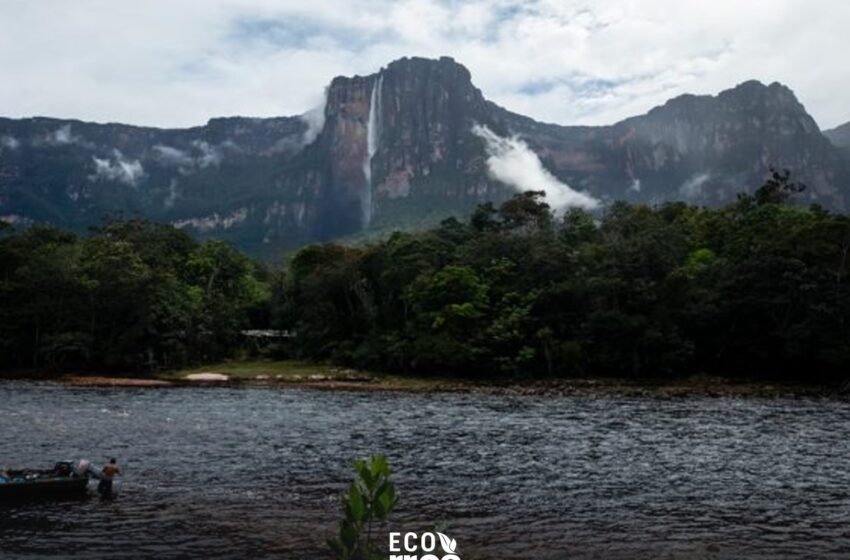  SOS Orinoco: el Parque Nacional Canaima es un patrimonio de la humanidad amenazado …