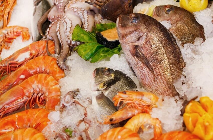  Cofepris garantiza regulación en menos de 24 horas para producto vivo del sector pesquero