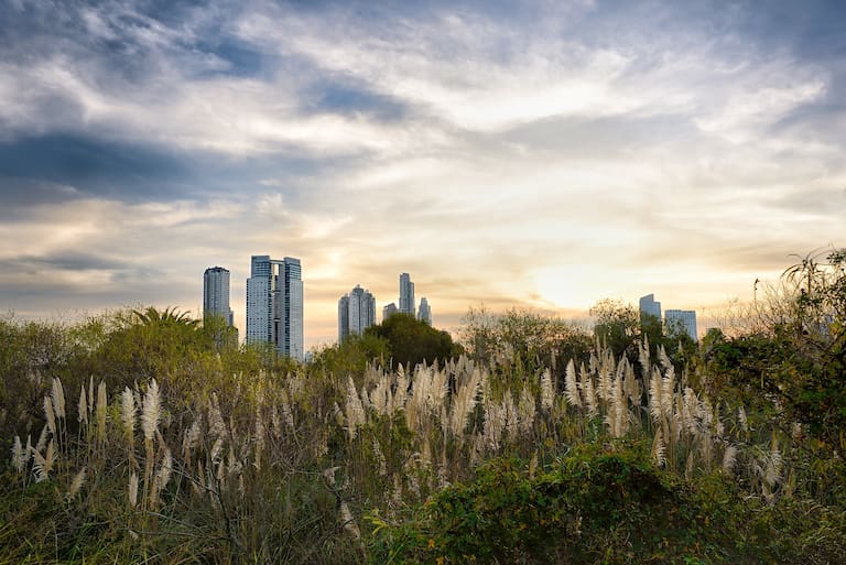  Día del Medio Ambiente: ¿cuáles son los objetivos de la jornada? – La Nación