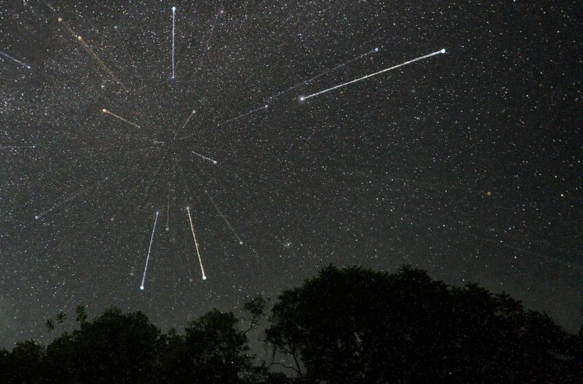  Lluvia de estrellas Acuáridas y Capricórnidas serán visibles en julio: cuándo ver su pico