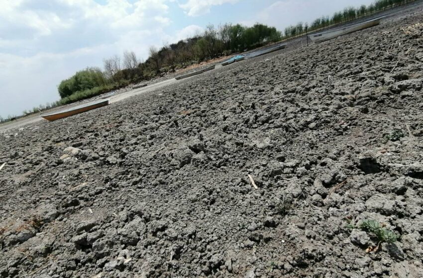  Pescadores de La Ortiga en Acámbaro sufren por la disminución del agua en el lago de Cuitzeo