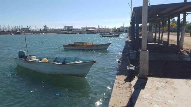  Pescadores de Yavaros confían que será una buena temporada de jaiba – Diario del Yaqui