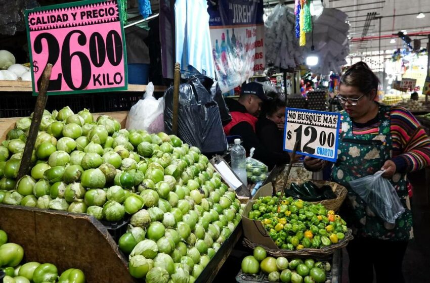  Trabajadores del campo destinan más del 30 por ciento de su salario en alimentos