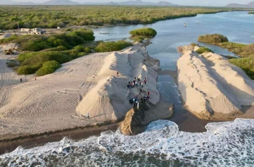  Autoridades abanderan apertura de bocas en el Huizache-Caimanero – Periódico Noroeste