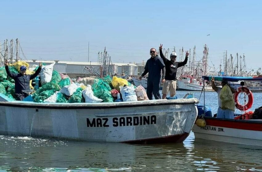  ¡Atención, pescadores! A partir de julio se levantará la veda de jaiba, mantarraya y tiburón …