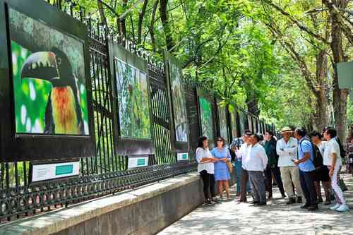  La Galería Abierta aloja la muestra Tesoros de Calakmul