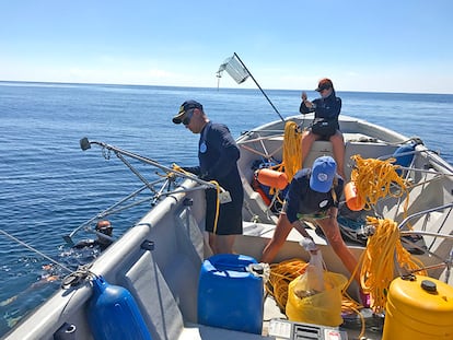 Un equipo de científicos del proyecto Global FinPrint coloca una cámara en las aguas de la Reserva de la Biosfera de la UNESCO Seaflower, en el Caribe colombiano, con el fin de monitorear el estado de los tiburones y rayas del área.