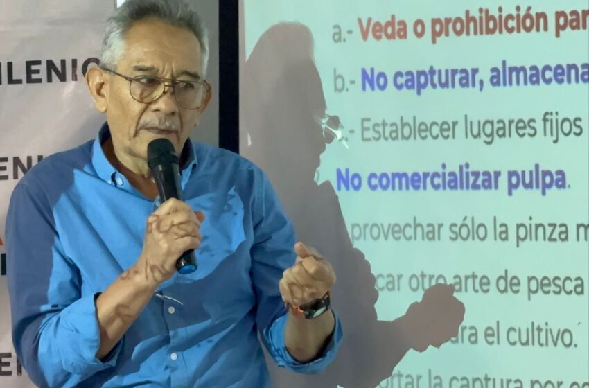  Veracruz es el único estado que regula el cangrejo azul – JarochosEnLinea