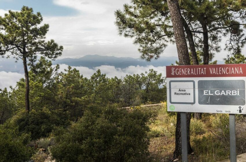  Medio Ambiente baraja limitar el acceso a espacios naturales si se alarga la canícula