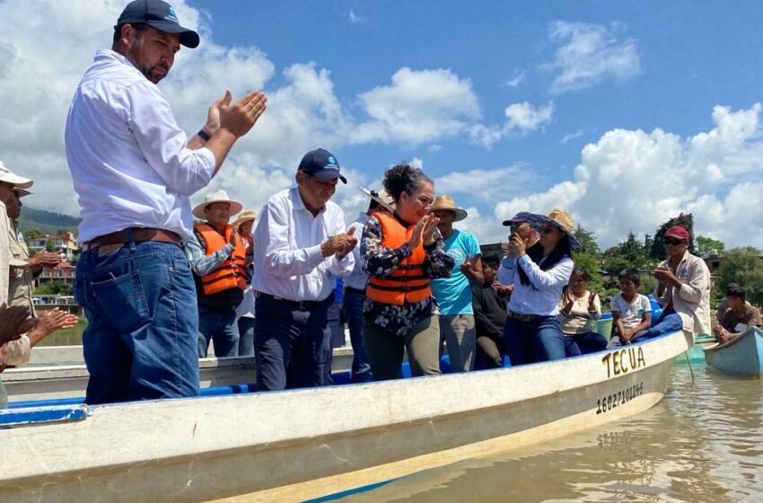  Con 50 mil peces blancos arranca repoblación del lago de Pátzcuaro – La Razón de México