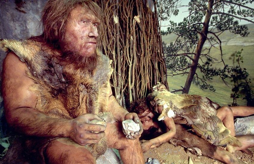  ¿Cómo cocinaban los neandertales? Los científicos lo investigan metiéndose en 'la cocina'