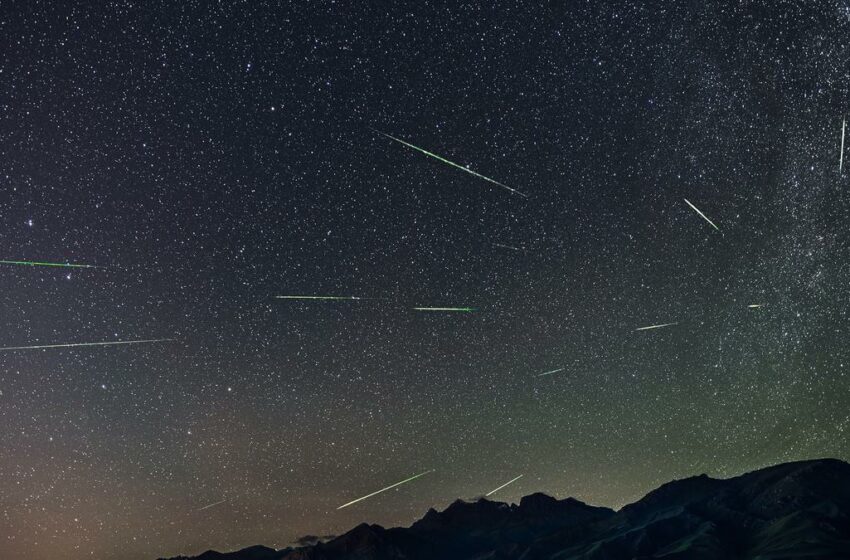  ¿Dónde puedo ver las perseidas el 12 de agosto?