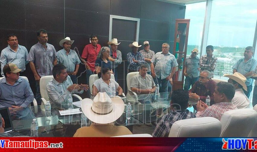  Apoyo emergente a sorgueros de Tamaulipas podría ser antes de que culmine el sexenio