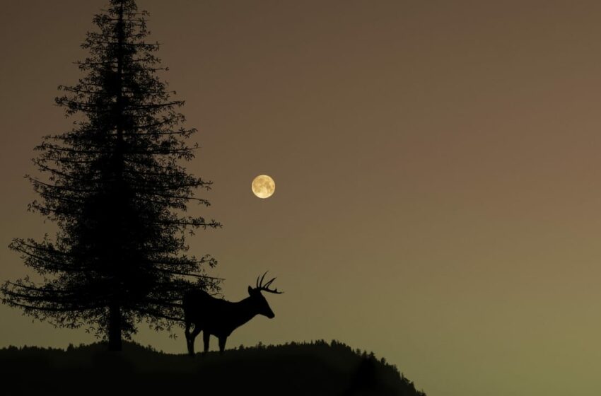  Llega la luna llena de julio: tips para observar la famosa luna del ciervo